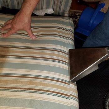 Upholstery Cleaning Gallery 9